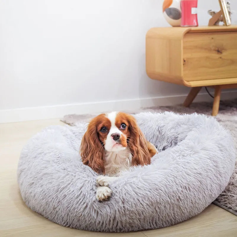 Calming Donut Pet Bed