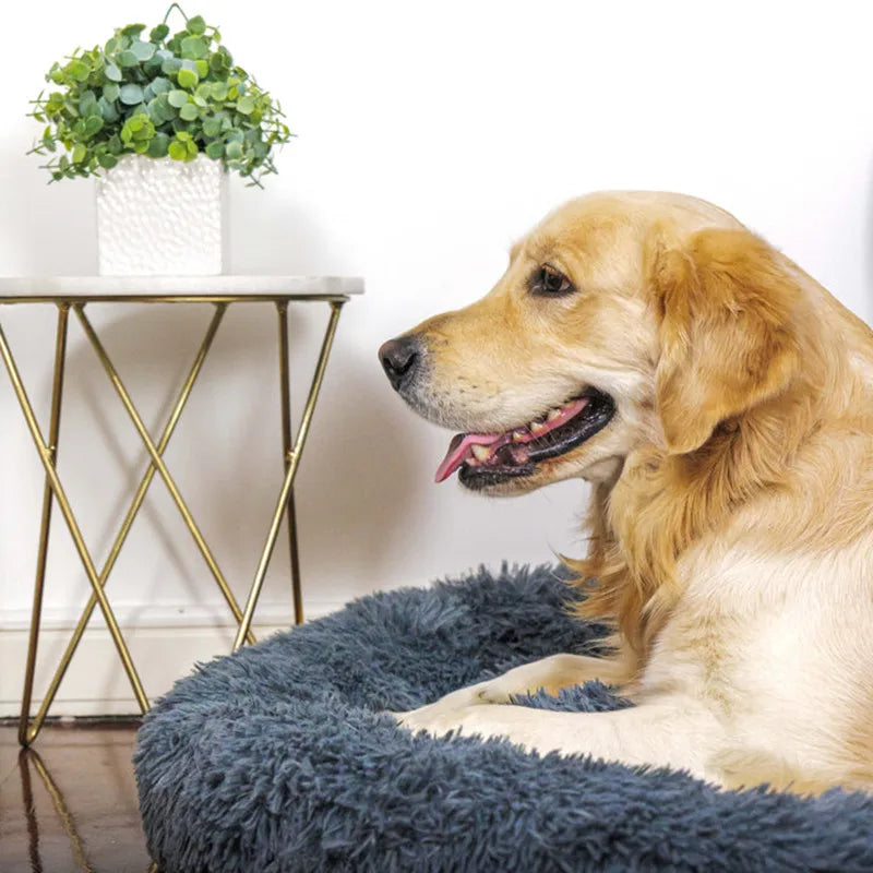 Calming Donut Pet Bed